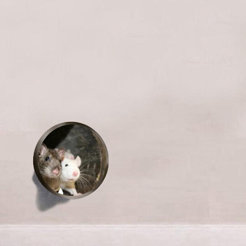 Realistiske 3D Musehul vægklistermærker