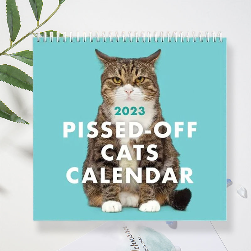 😾2024 Kalender med sure katte