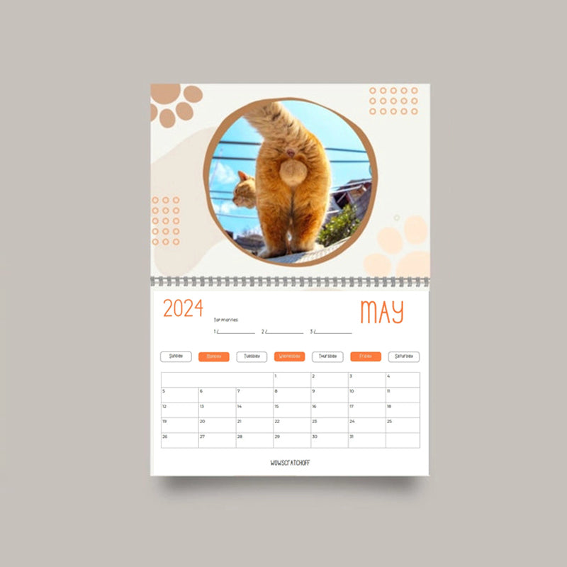 Sjov 2024 kalender med kattekugler