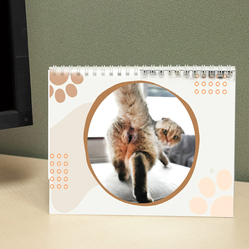 Sjov 2024 kalender med kattekugler