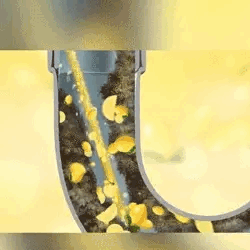 Magic Stick til rørdekontaminering og lugtfjernelse (12 STK)