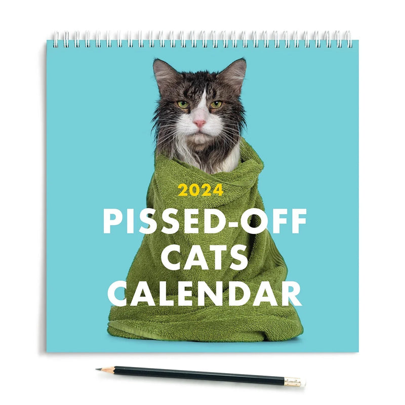 2024 Kalender med vrede katte