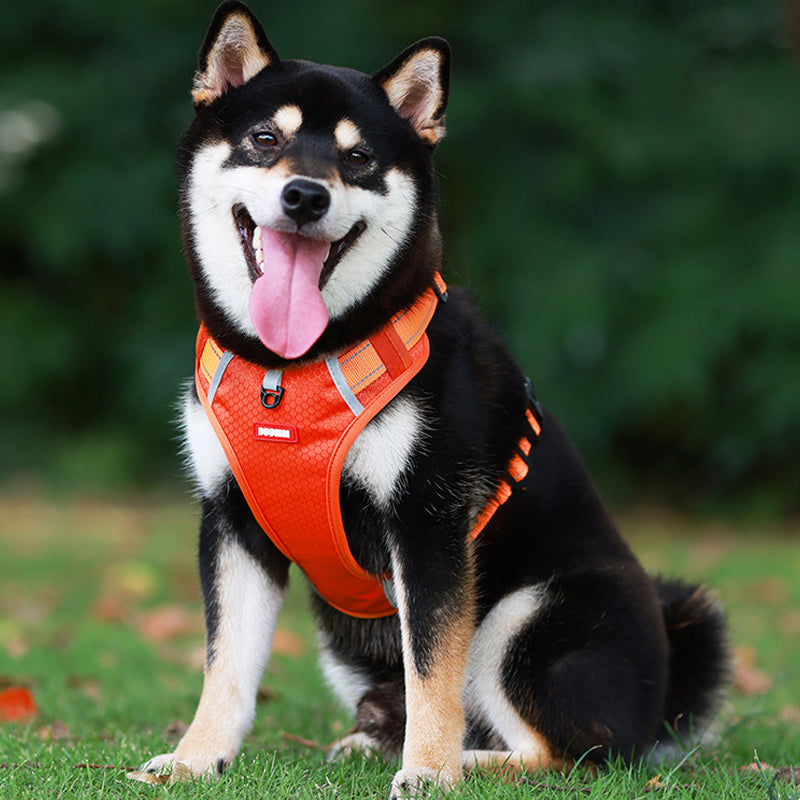 Reflekterende hundevest med sele