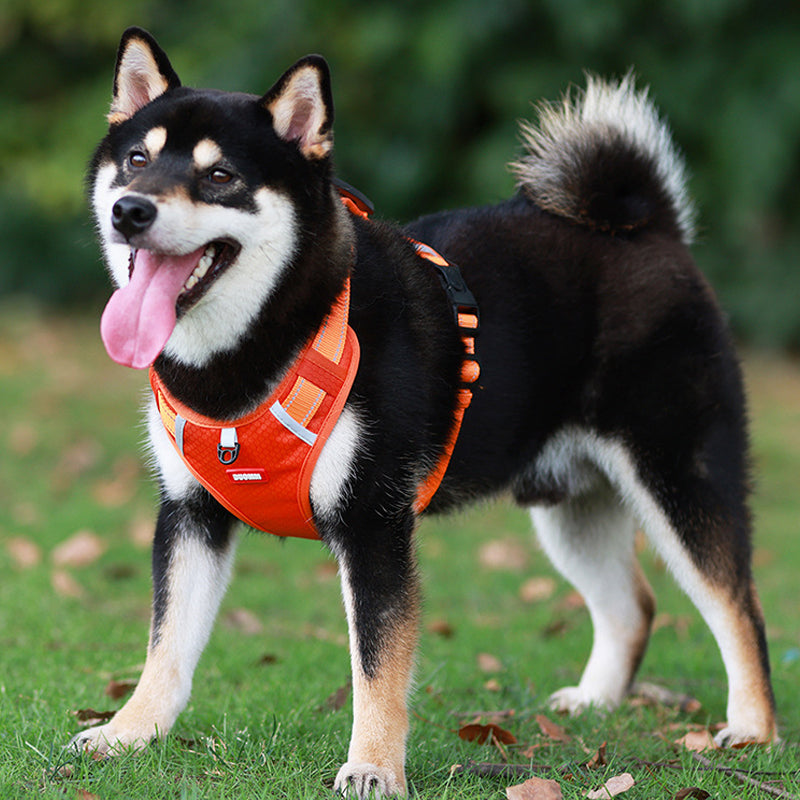 Reflekterende hundevest med sele