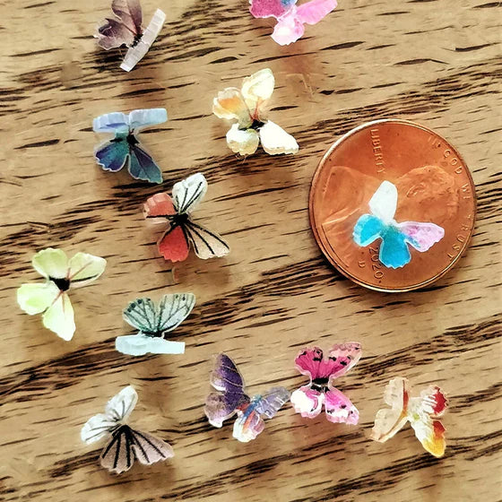 🦋Mikro miniature sommerfugle