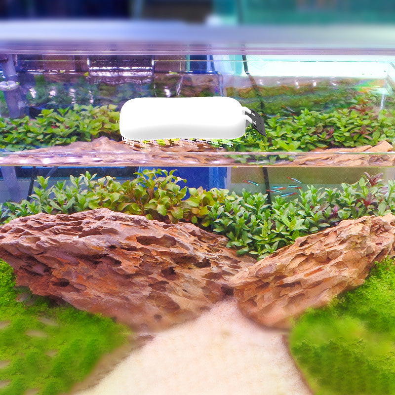 Magnetisk akvarieskraber