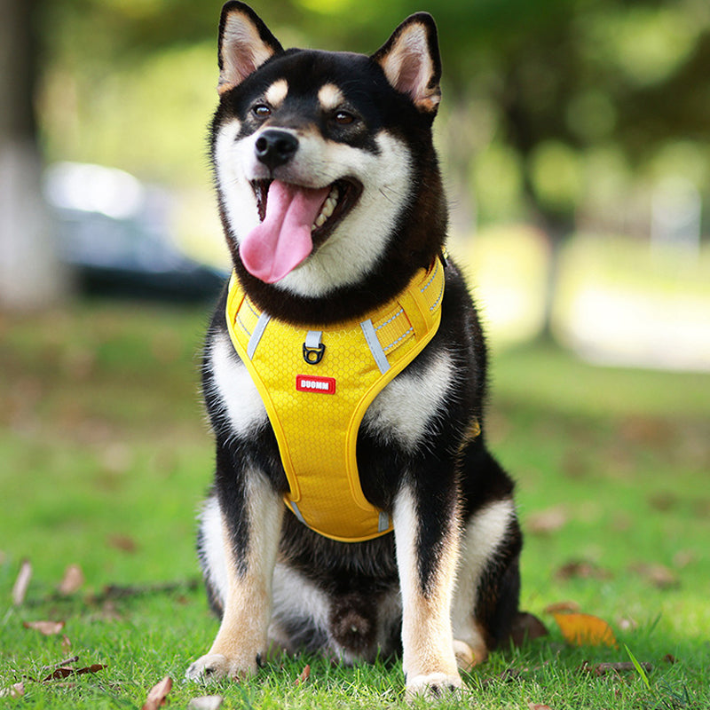 Reflekterende hundevest med sele