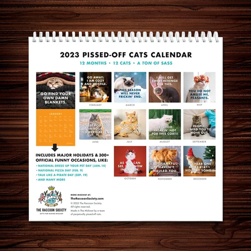 😾2024 Kalender med sure katte
