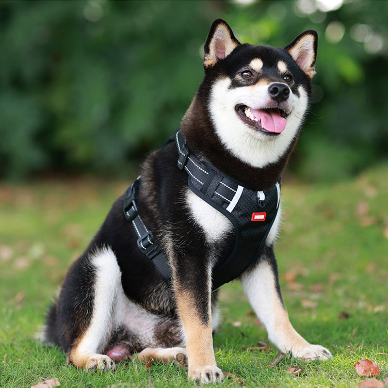 Reflekterende hundevest med sele