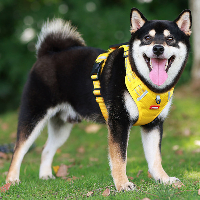 Reflekterende hundevest med sele