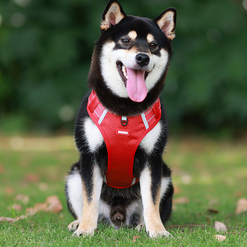 Reflekterende hundevest med sele