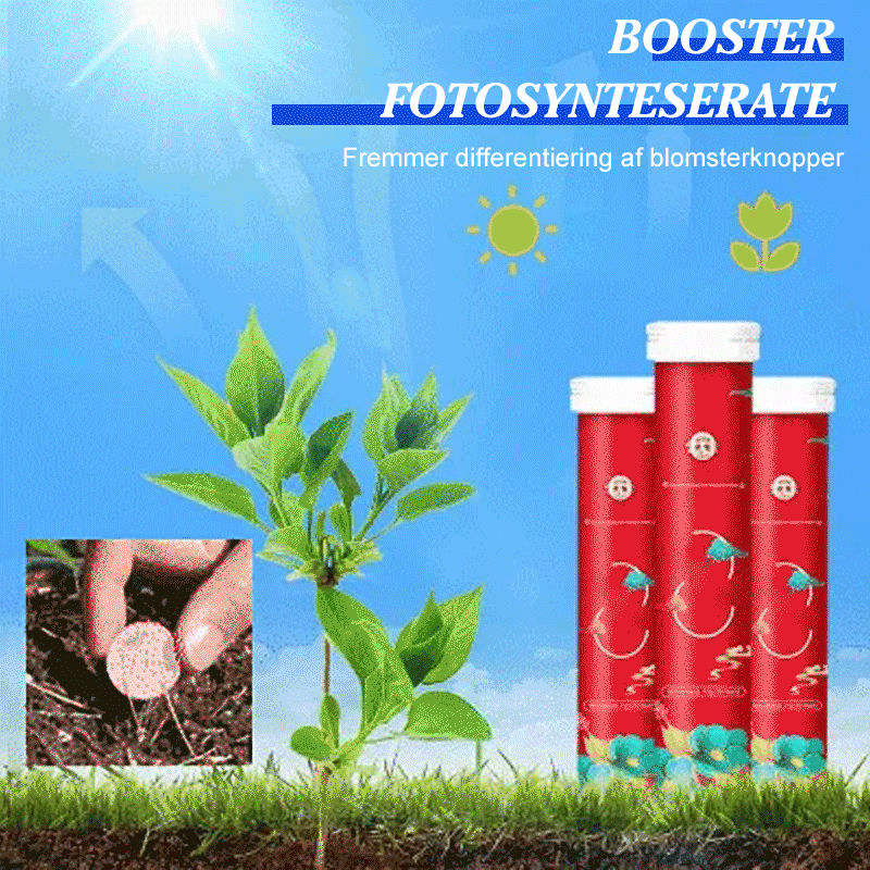 Slow Release Garden Universal Fertilizer Tablets