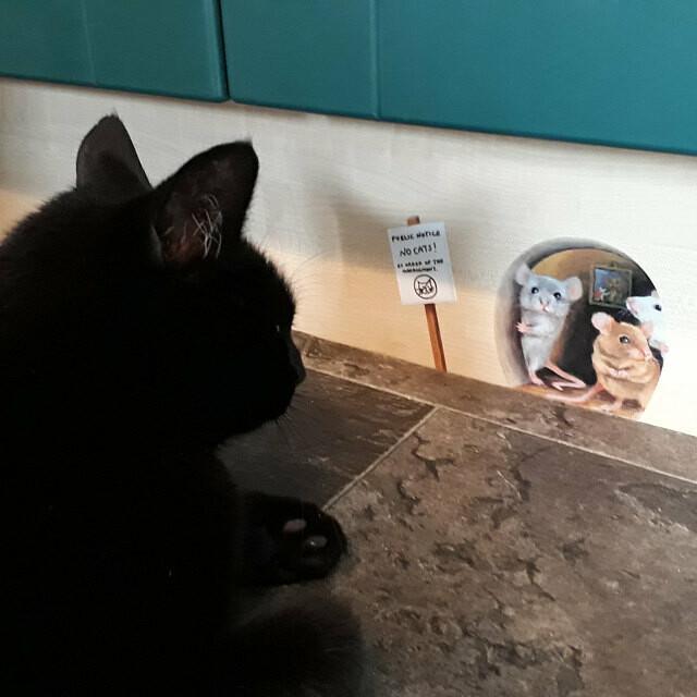 Realistiske 3D Musehul vægklistermærker