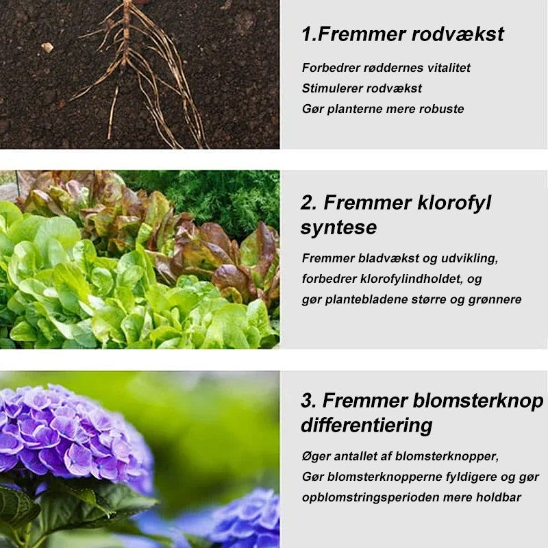 Slow Release Garden Universal Fertilizer Tablets