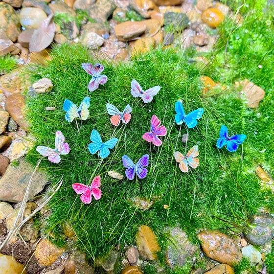 🦋Mikro miniature sommerfugle