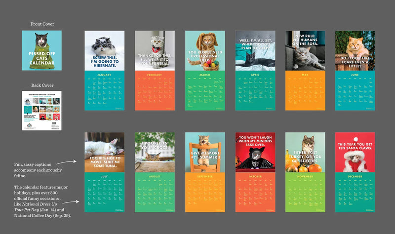 2024 Kalender med vrede katte