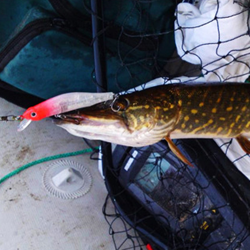 Fishing lures