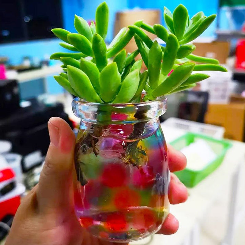 Krystal vandperler