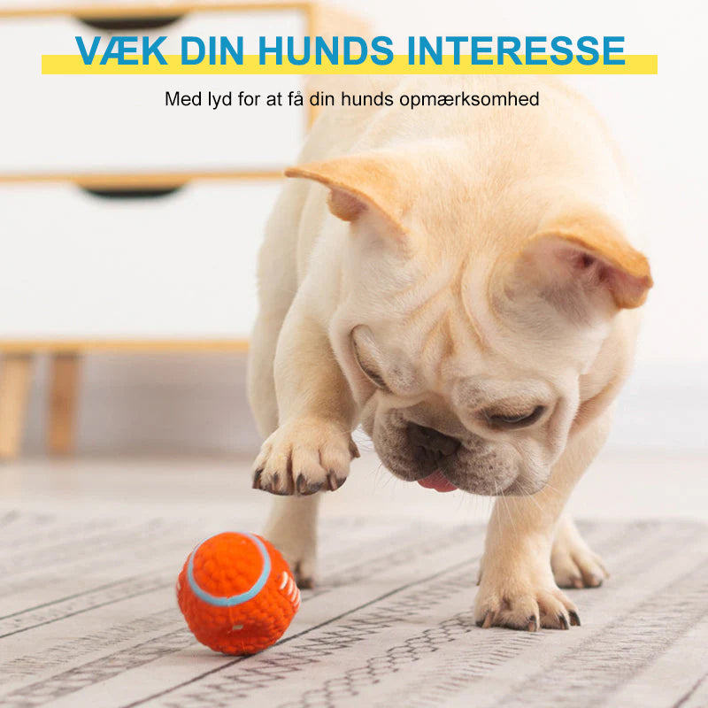 Udødeligt tyggelegetøj