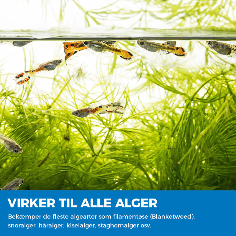 Akvarie rensende pulver