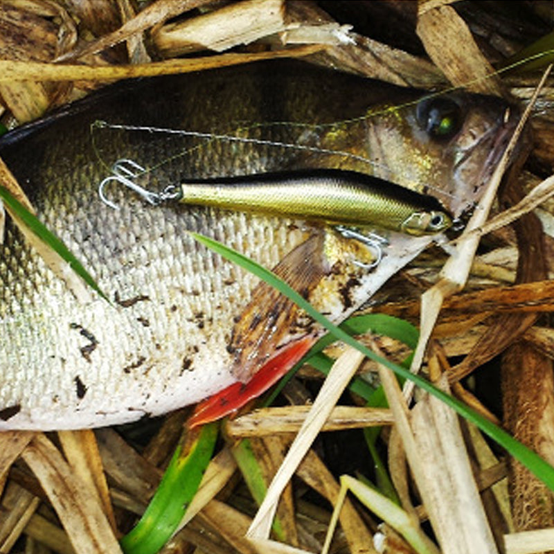 Fishing lures