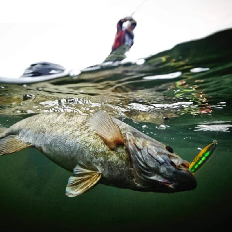 Fishing lures