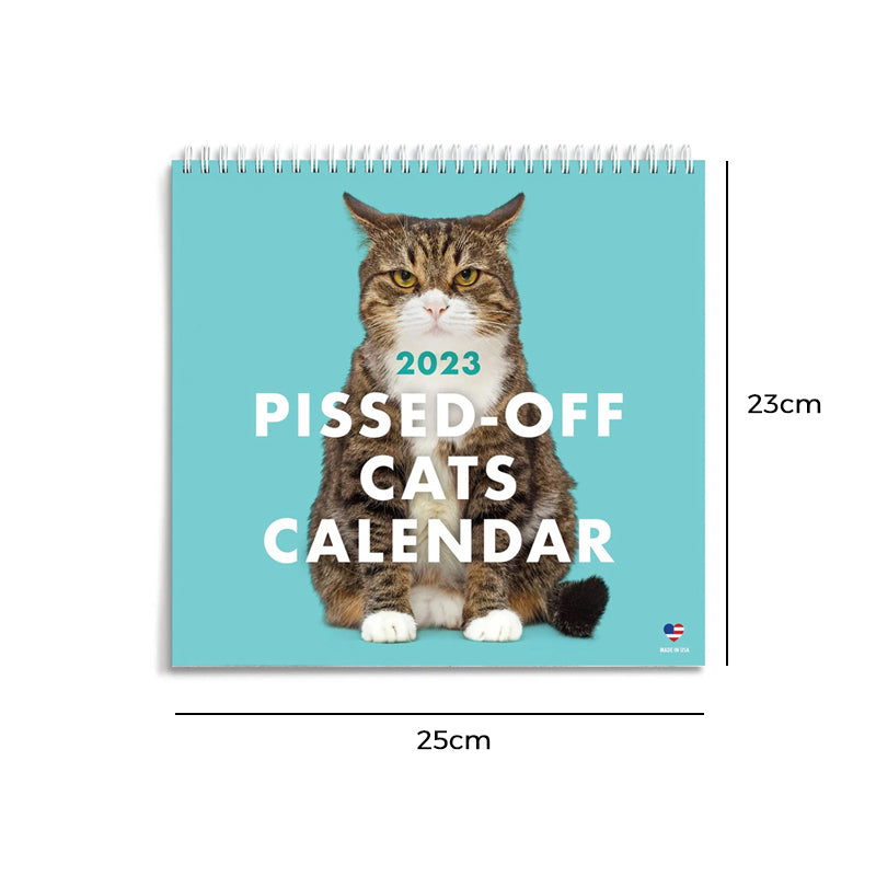 😾2024 Kalender med sure katte